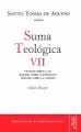SUMA TEOLOGICA VII