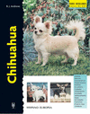 EXCELLENCE CHIHUAHUA