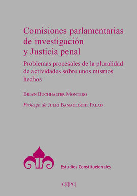 COMISIONES PARLAMENTARIAS DE INVESTIGACION Y JUSTICIA PENAL