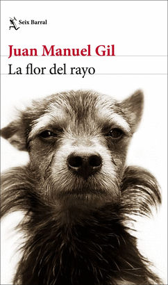 FLOR DEL RAYO LA