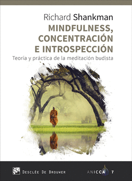 MINDFULNESS CONCENTRACIÓN E INTROSPECCIÓN