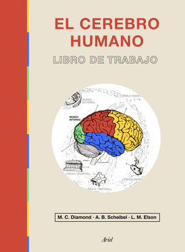 CEREBRO HUMANO EL