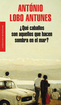 QUE CABALLOS SON AQUELLOS QUE HACEN SOMBRA EN EL MAR