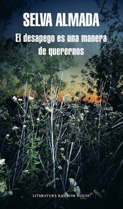 DESAPEGO ES UNA MANERA DE QUERERNOS EL
