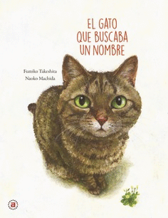 GATO QUE BUSCABA UN NOMBRE EL