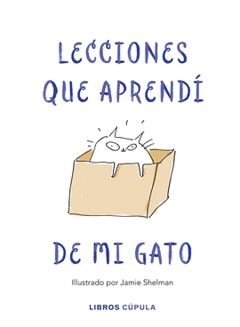 LECCIONES DE VIDA QUE APRENDI DE MI GATO