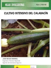 CULTIVO INTENSIVO DEL CALABACIN