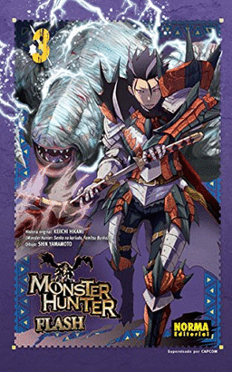 MONSTER HUNTER FLASH N 03