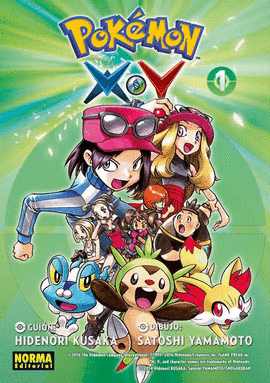 POKEMON X / Y N 01