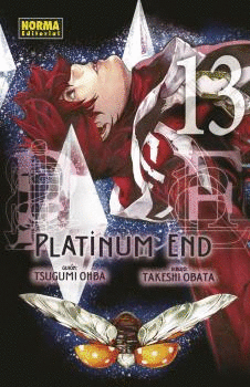 PLATINUM END N 13