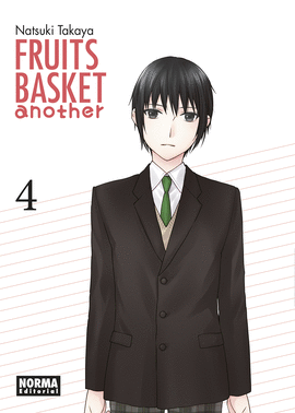 FRUITS BASKET ANOTHER N 04