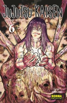 JUJUTSU KAISEN N 06