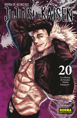 JUJUTSU KAISEN N 20