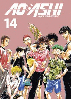 AO ASHI N 14