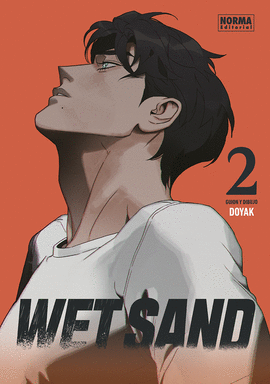 WET SAND N 02