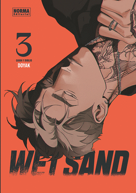 WET SAND N 03