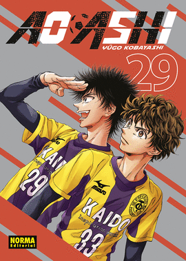 AO ASHI N 29