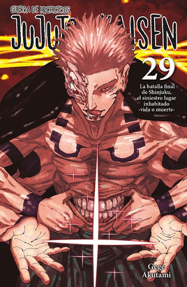 JUJUTSU KAISEN N 29