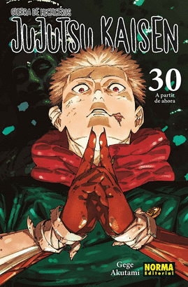 JUJUTSU KAISEN N 30