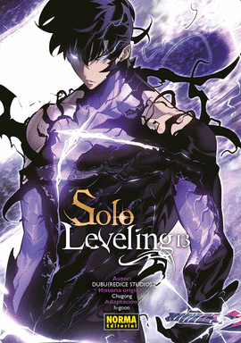 SOLO LEVELING N 13
