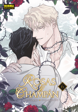 ROSAS Y CHAMPAN N 06