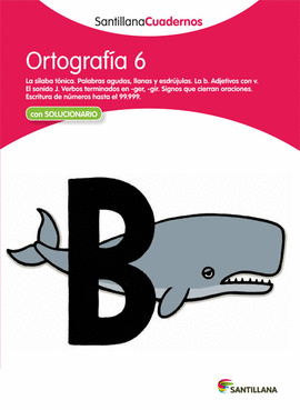 ORTOGRAFIA 6