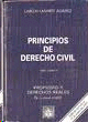 PRINCIPIOS DE DERECHO CIVIL TOMO VII DERECHO DE SUCESIONES