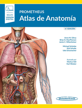 ATLAS DE ANATOMIA PROMETHEUS