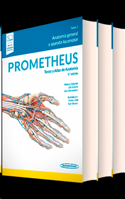 PACK PROMETHEUS ATLAS DE ANATOMIA 3 VOLS 2021