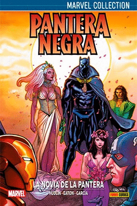 PANTERA NEGRA 02
