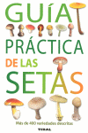 GUIA PRACTICA DE LAS SETAS