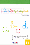 ORTOGRAFIA N 11