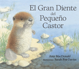 GRAN DIENTE DEL PEQUEÑO CASTOR EL