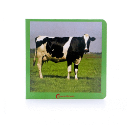 ANIMALES DE LA GRANJA LOS