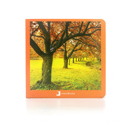 OTOÑO