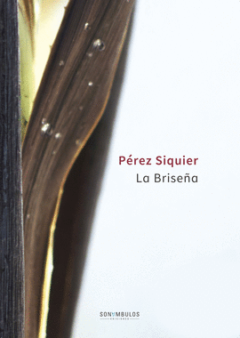 BRISEÑA LA