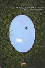 TRANSITO DE LA MIRADA