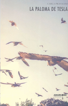 PALOMA DE TESLA LA