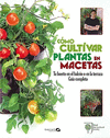 COMO CULTIVAR PLANTAS EN MACETAS