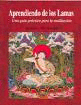 APRENDIENDO DE LOS LAMAS