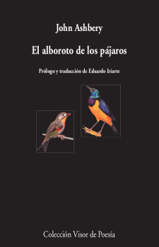 ALBOROTO DE LOS PÁJAROS EL