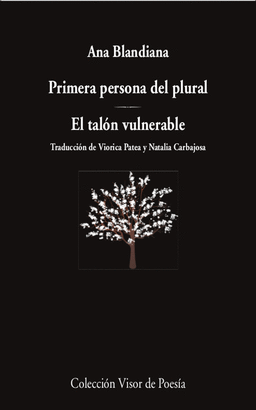 PRIMERA PERSONA DEL PLURAL / EL TALON VULNERABLE