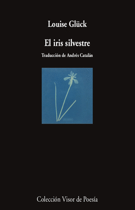 IRIS SILVESTRE EL