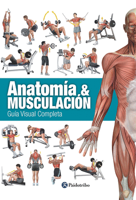 ANATOMIA Y MUSCULACION