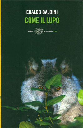 COME IL LUPO