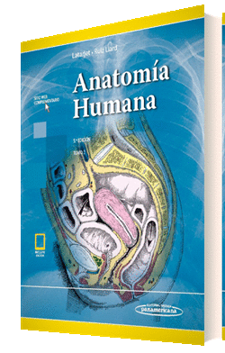 ANATOMÍA HUMANA TOMO 2 + EBOOK
