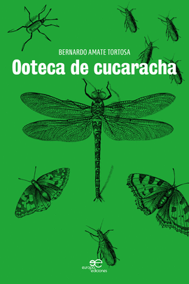 OOTECA DE CUCARACHA