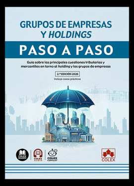 GRUPOS DE EMPRESAS Y HOLDINGS PASO A PASO