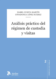 ANALISIS PRACTICO DEL REGIMEN DE CUSTODIA Y VISITAS