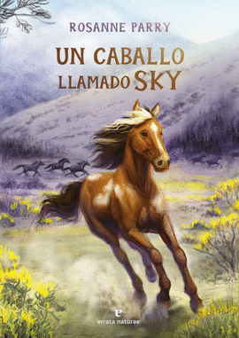 CABALLO LLAMADO SKY UN